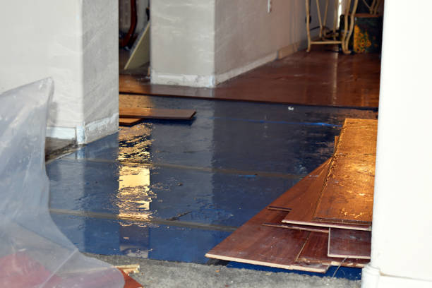 Professional Burst Pipe Cleanup technician working in Evans, CO
