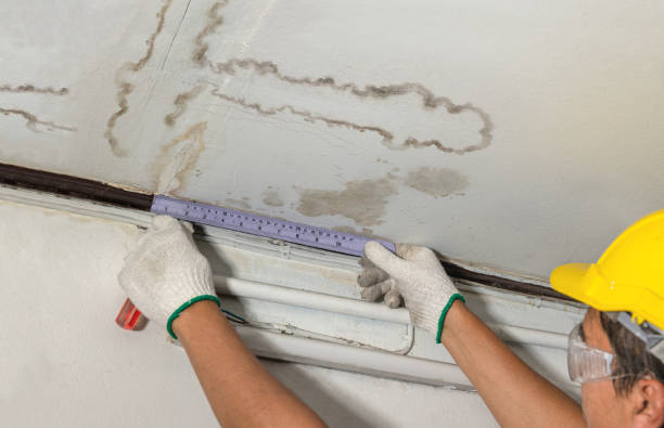 Reliable Burst Pipe Cleanup contractor in Evans, CO by Water Damage Irwin